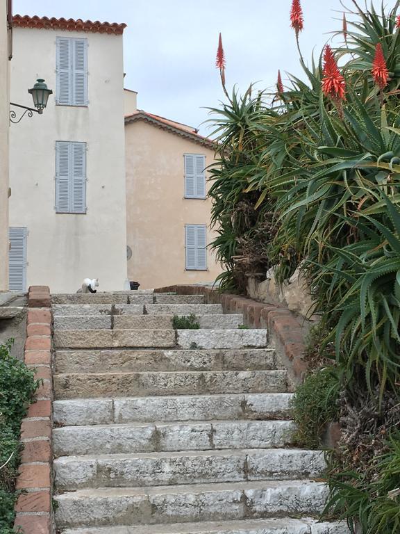 Cap Antibes Les Bosquets Villa Luaran gambar